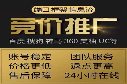 成功SEM投放案例分享